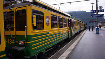 グリンデルワルドから到着した登山電車